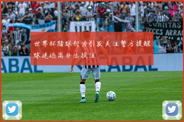 世界杯赌球行为引发关注警方提醒球迷远离非法投注