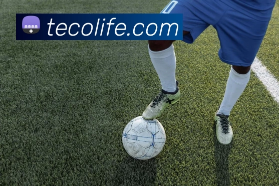 欧洲杯免费看直播渠道公布免费平台与付费选项对观赛影响解析